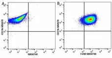 Anti Mouse F4/80 Antibody, clone Cl:A3-1 gallery image 168