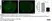 Anti Mouse F4/80 Antibody, clone Cl:A3-1 thumbnail image 171