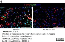 Anti Mouse F4/80 Antibody, clone Cl:A3-1 gallery image 172