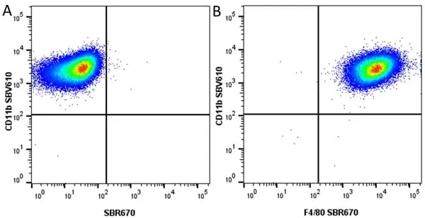 Anti Mouse F4/80 Antibody, clone Cl:A3-1 gallery image 177