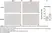 Rat Anti-Mouse F4/80 Antibody, Clone Cl:A3-1 thumbnail image 192