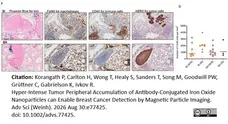 Rat Anti-Mouse F4/80 Antibody, Clone Cl:A3-1 gallery image 193