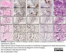Rat Anti-Mouse F4/80 Antibody, Clone Cl:A3-1 gallery image 197