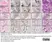 Rat Anti-Mouse F4/80 Antibody, Clone Cl:A3-1 thumbnail image 197
