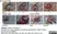 Anti Mouse F4/80 Antibody, clone Cl:A3-1 thumbnail image 30