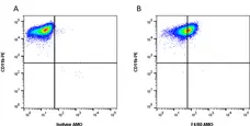 Anti Mouse F4/80 Antibody, clone Cl:A3-1 gallery image 37