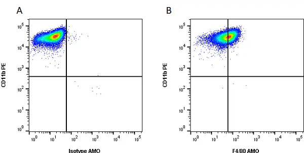 Anti Mouse F4/80 Antibody, clone Cl:A3-1 gallery image 37