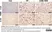 Anti Mouse F4/80 Antibody, clone Cl:A3-1 thumbnail image 48