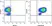 Anti Mouse F4/80 Antibody, clone Cl:A3-1 thumbnail image 51