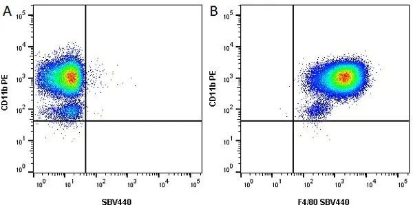 Anti Mouse F4/80 Antibody, clone Cl:A3-1 gallery image 51