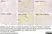 Anti Mouse F4/80 Antibody, clone Cl:A3-1 thumbnail image 55