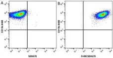 Anti Mouse F4/80 Antibody, clone Cl:A3-1 gallery image 56