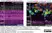 Anti Mouse F4/80 Antibody, clone Cl:A3-1 thumbnail image 60