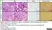 Anti Mouse F4/80 Antibody, clone Cl:A3-1 thumbnail image 61