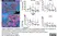 Anti Mouse F4/80 Antibody, clone Cl:A3-1 thumbnail image 64