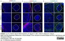Anti Mouse F4/80 Antibody, clone Cl:A3-1 gallery image 66