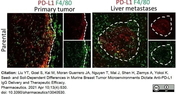 Anti Mouse F4/80 Antibody, clone Cl:A3-1 gallery image 67