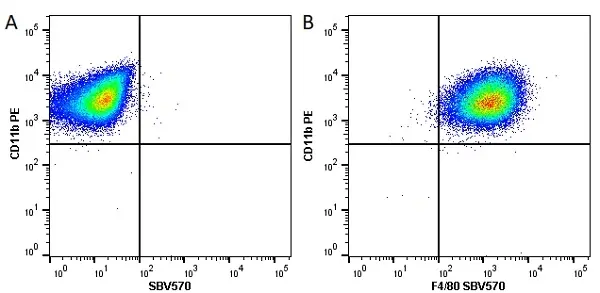 Anti Mouse F4/80 Antibody, clone Cl:A3-1 gallery image 69