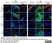Anti Mouse F4/80 Antibody, clone Cl:A3-1 thumbnail image 80