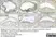 Anti Mouse F4/80 Antibody, clone Cl:A3-1 thumbnail image 84