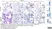 Anti Mouse F4/80 Antibody, clone Cl:A3-1 thumbnail image 95