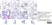 Anti Mouse F4/80 Antibody, clone Cl:A3-1 thumbnail image 96