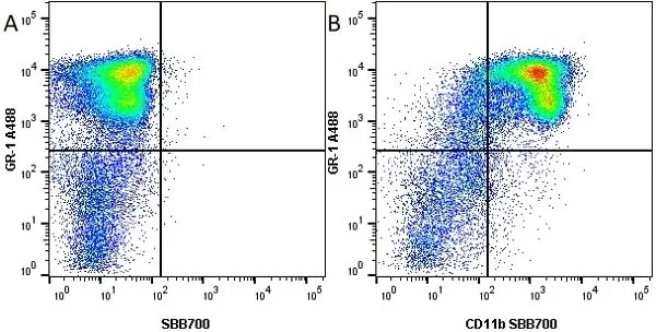 Anti Mouse Gr-1 Antibody, clone RB6-8C5 gallery image 13