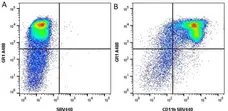 Anti Mouse Gr-1 Antibody, clone RB6-8C5 gallery image 16