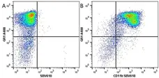 Anti Mouse Gr-1 Antibody, clone RB6-8C5 gallery image 17