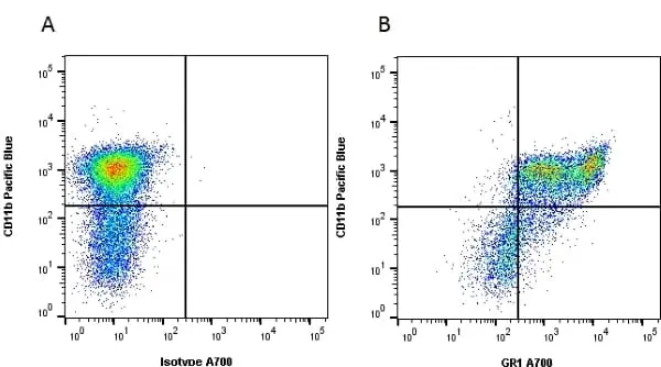 Anti Mouse Gr-1 Antibody, clone RB6-8C5 gallery image 2