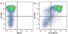 Anti Mouse Gr-1 Antibody, clone RB6-8C5 gallery image 20