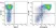 Anti Mouse Gr-1 Antibody, clone RB6-8C5 thumbnail image 20