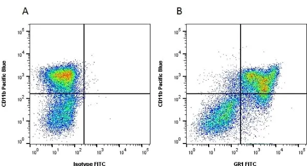 Anti Mouse Gr-1 Antibody, clone RB6-8C5 gallery image 3