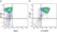Anti Mouse Gr-1 Antibody, clone RB6-8C5 thumbnail image 31