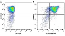 Anti Mouse Gr-1 Antibody, clone RB6-8C5 gallery image 32