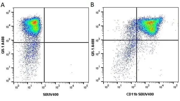 Anti Mouse Gr-1 Antibody, clone RB6-8C5 gallery image 32