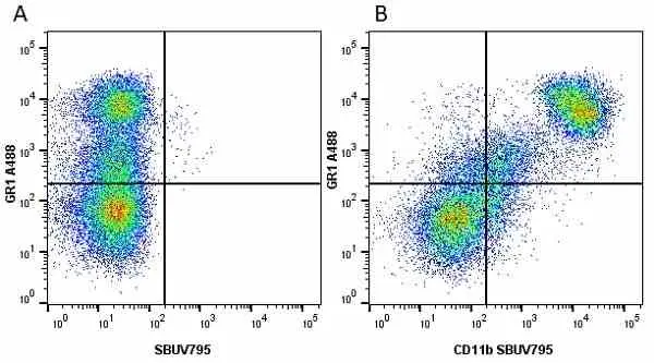 Anti Mouse Gr-1 Antibody, clone RB6-8C5 gallery image 36