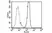 Anti High Mobility Group Protein B1 Antibody, clone HMG1-5H6 thumbnail image 3