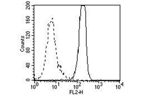 Anti High Mobility Group Protein B1 Antibody, clone HMG1-5H6 gallery image 3