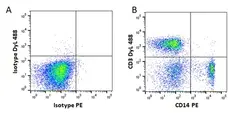 Anti Mouse IgG1 Antibody, clone AbD24121 gallery image 1