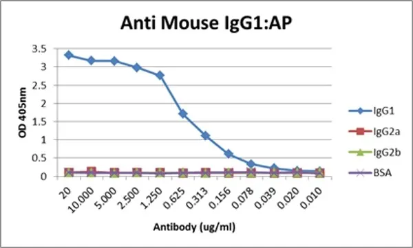 Anti Mouse IgG1 Antibody, clone AbD24121 gallery image 12