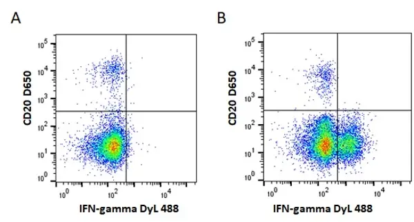 Anti Mouse IgG1 Antibody, clone AbD24121 gallery image 4