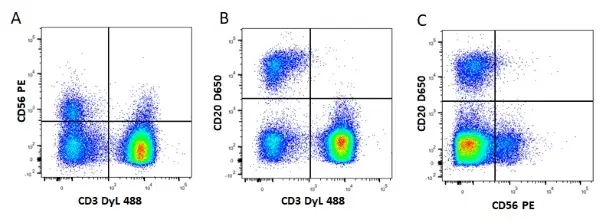 Anti Mouse IgG1 Antibody, clone AbD24121 gallery image 5