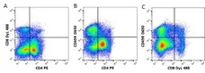 Anti Mouse IgG1 Antibody, clone AbD24121 gallery image 7