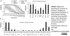 Anti Mouse IgG1 Heavy Chain Antibody, clone LO-MG1-2 gallery image 1