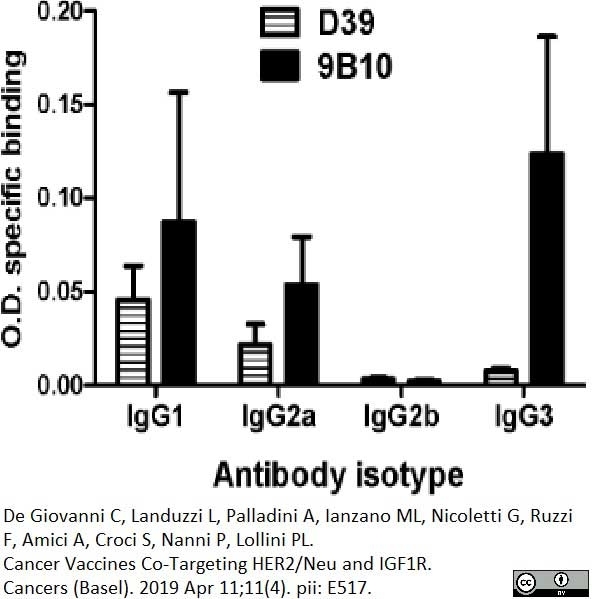 Anti Mouse IgG1 Heavy Chain Antibody, clone LO-MG1-2 gallery image 2