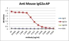 Anti Mouse IgG2a Antibody, clone AbD24124 gallery image 11