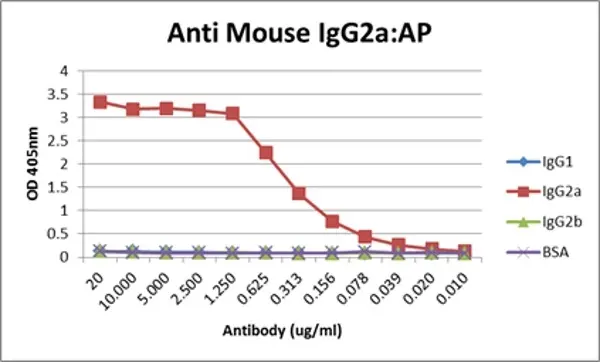 Anti Mouse IgG2a Antibody, clone AbD24124 gallery image 11