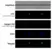 Anti Mouse IgG2a Antibody, clone AbD24124 thumbnail image 16