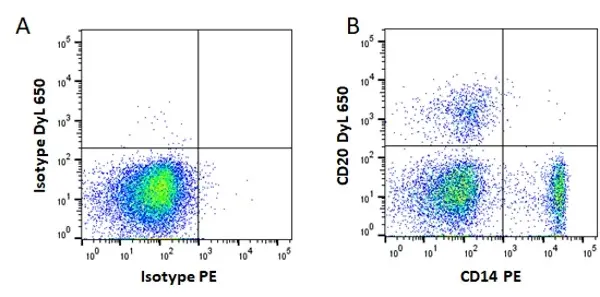 Anti Mouse IgG2a Antibody, clone AbD24124 gallery image 2